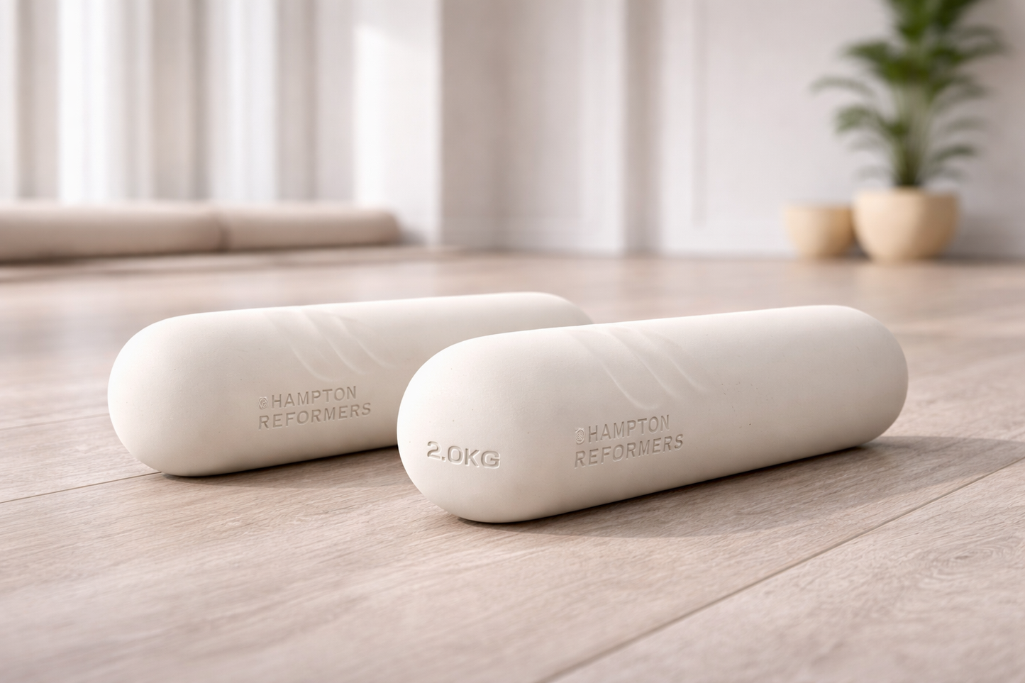 Hand Weights (pair)