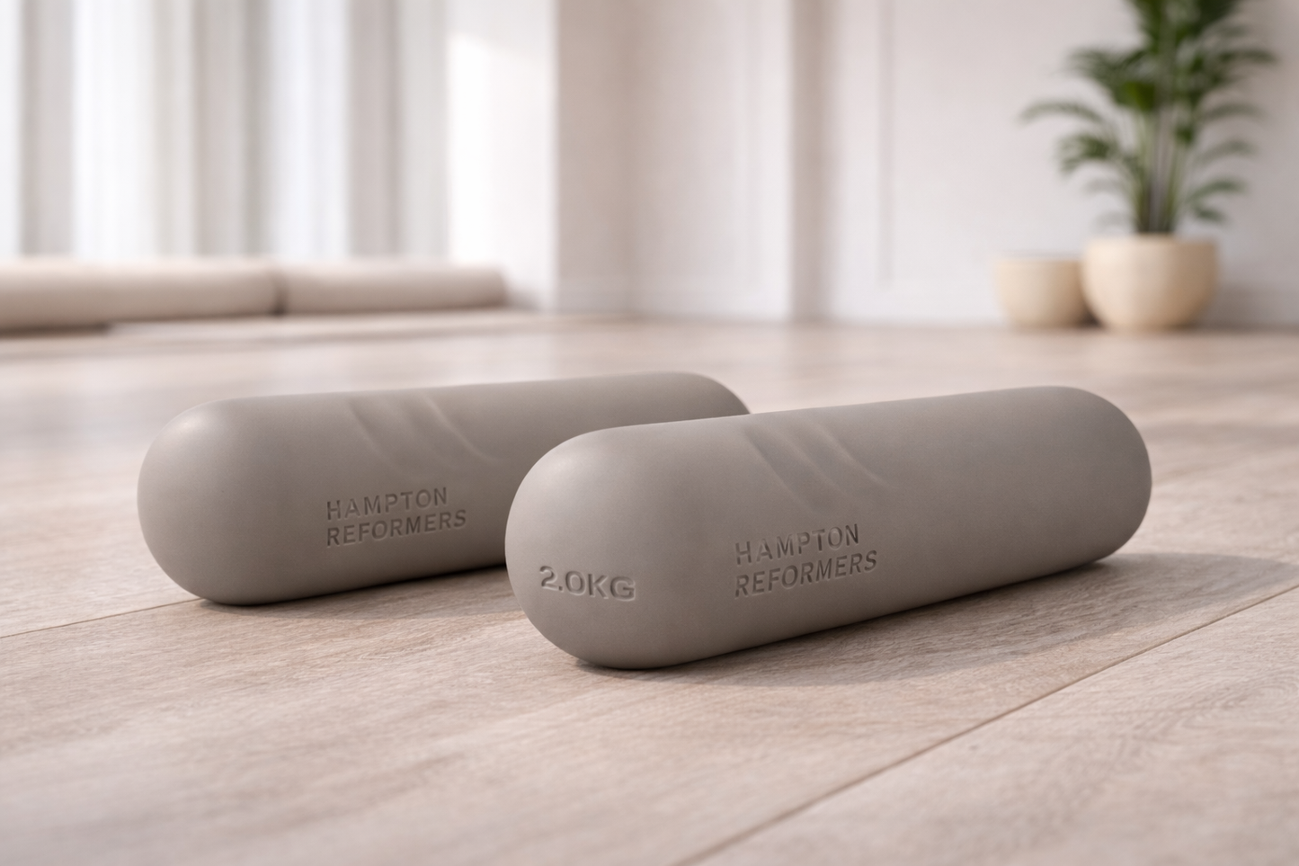 Hand Weights (pair)